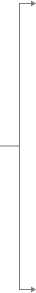 Process flow arrow